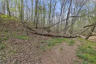 87 Tolleffs Trail, Dahlonega, GA 30533 - Photo 49