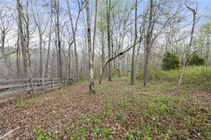 87 Tolleffs Trail, Dahlonega, GA 30533 - Photo 51