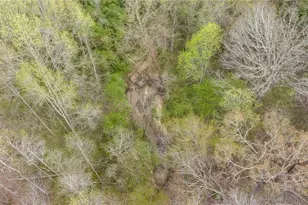 87 Tolleffs Trail, Dahlonega, GA 30533 - Photo 67