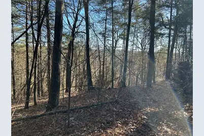 00000 Twin River Orchard Road, Demorest, GA 30535 - Photo 1