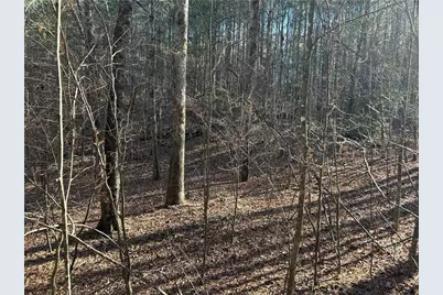 00000 Twin River Orchard Road, Demorest, GA 30535 - Photo 5