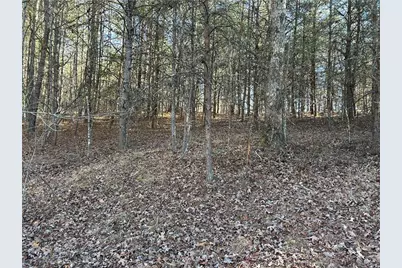 00000 Twin River Orchard Road, Demorest, GA 30535 - Photo 7