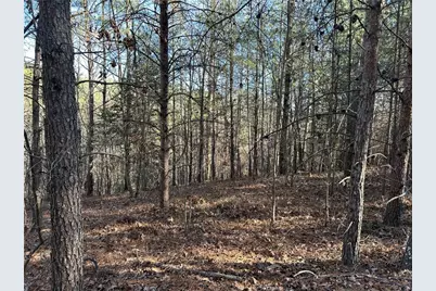 00000 Twin River Orchard Road, Demorest, GA 30535 - Photo 3