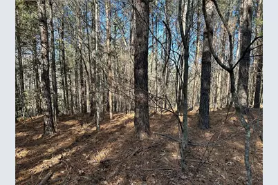 00000 Twin River Orchard Road, Demorest, GA 30535 - Photo 9