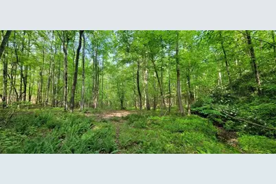 22 Vineyard Road, Dallas, GA 30132 - Photo 11