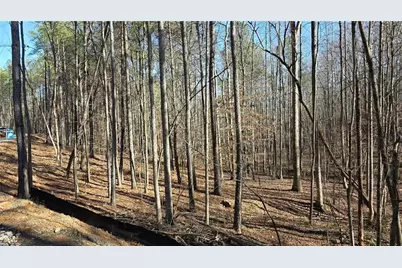 22 Vineyard Road, Dallas, GA 30132 - Photo 13