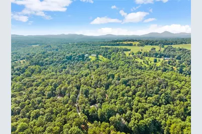 309 Fowler Creek Drive, Cleveland, GA 30528 - Photo 43