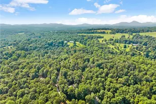 309 Fowler Creek Dr, Cleveland, GA 30528 - Photo 43