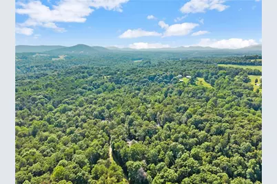 309 Fowler Creek Drive, Cleveland, GA 30528 - Photo 45