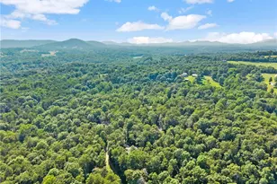 309 Fowler Creek Dr, Cleveland, GA 30528 - Photo 45