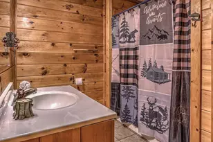 348 The Forest Has Eyes, Blue Ridge, GA 30513 - Photo 7