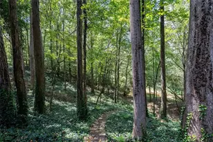 2237 Clem Lowell Rd, Carrollton, GA 30116 - Photo 55