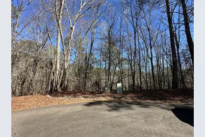 0 Coffee Mill Run, Talking Rock, GA 30175 - Photo 9