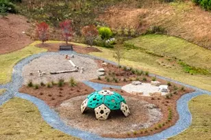 8740 Stratford Oaks Ave, Ball Ground, GA 30107 - Photo 45