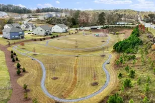 8740 Stratford Oaks Ave, Ball Ground, GA 30107 - Photo 51