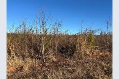 0 State Rte 83 Route, Monroe, GA 30655 - Photo 3