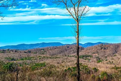 Lot 8 Scouts, Morganton, GA 30560 - Photo 5