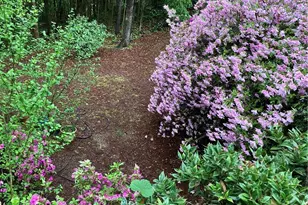 37 Plantation Dr NE, Atlanta, GA 30324 - Photo 3