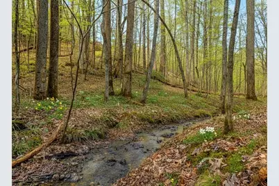 6.44 Whispering Oaks Drive, Ellijay, GA 30540 - Photo 3