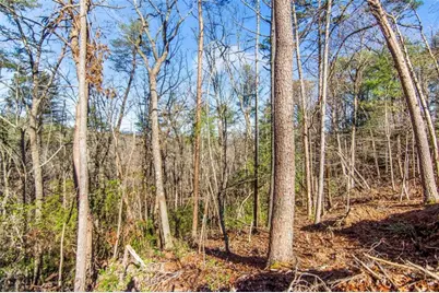 6.44 Whispering Oaks Drive, Ellijay, GA 30540 - Photo 33