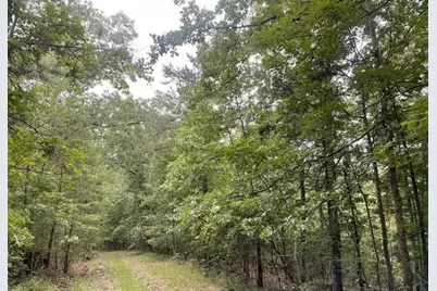 933 Apex Court, Ranger, GA 30734 - Photo 1