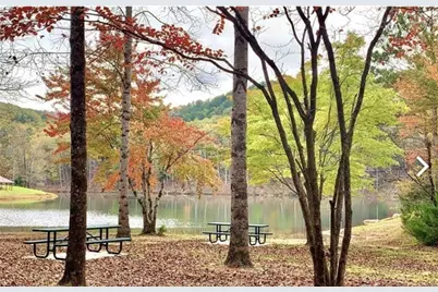 933 Apex Court, Ranger, GA 30734 - Photo 13