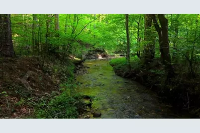 0 Nocona Trail, Ellijay, GA 30536 - Photo 5