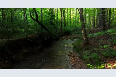 0 Nocona Trail, Ellijay, GA 30536 - Photo 3