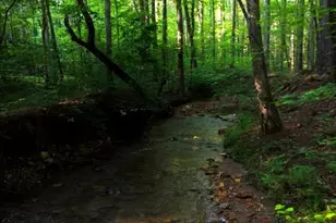 0 Nocona Trl, Ellijay, GA 30536 - Photo 11