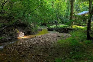 0 Nocona Trl, Ellijay, GA 30536 - Photo 9