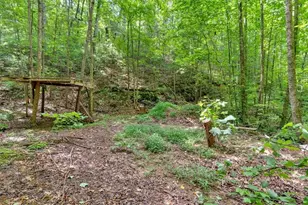 196 Whitestone Dr, Talking Rock, GA 30175 - Photo 47