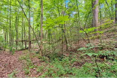 196 Whitestone Drive, Talking Rock, GA 30175 - Photo 51