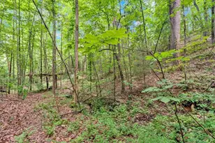 196 Whitestone Dr, Talking Rock, GA 30175 - Photo 51