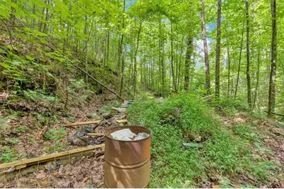 196 Whitestone Drive, Talking Rock, GA 30175 - Photo 49