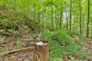 196 Whitestone Dr, Talking Rock, GA 30175 - Photo 49