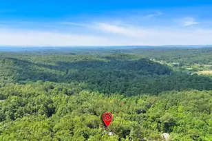 196 Whitestone Dr, Talking Rock, GA 30175 - Photo 43