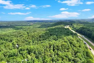 196 Whitestone Dr, Talking Rock, GA 30175 - Photo 55