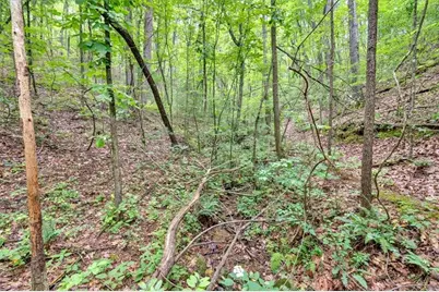 196 Whitestone Drive, Talking Rock, GA 30175 - Photo 53