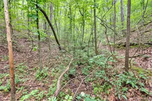 196 Whitestone Dr, Talking Rock, GA 30175 - Photo 53