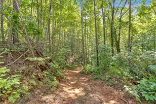 196 Whitestone Dr, Talking Rock, GA 30175 - Photo 45