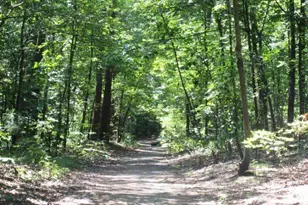 3542 Chattahoochee Summit Ln SE, Atlanta, GA 30339 - Photo 37