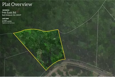 946 Essic Road, Ball Ground, GA 30107 - Photo 45