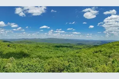 1093 Lower Sassafras Parkway, Jasper, GA 30143 - Photo 29