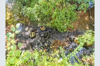 1250 Owen Glen Drive, Blairsville, GA 30512 - Photo 89