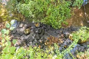 1250 Owen Glen Dr, Blairsville, GA 30512 - Photo 89