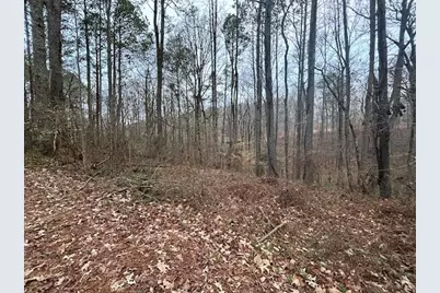 1089 Damascus Drive, Ball Ground, GA 30107 - Photo 7