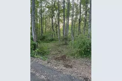 1089 Damascus Drive, Ball Ground, GA 30107 - Photo 25