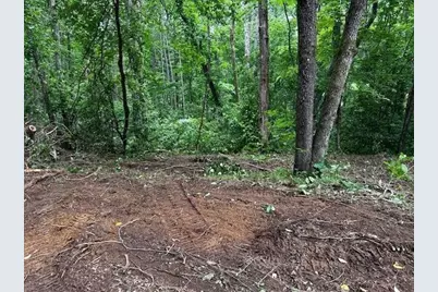 1089 Damascus Drive, Ball Ground, GA 30107 - Photo 17