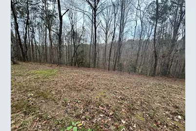 1089 Damascus Drive, Ball Ground, GA 30107 - Photo 13