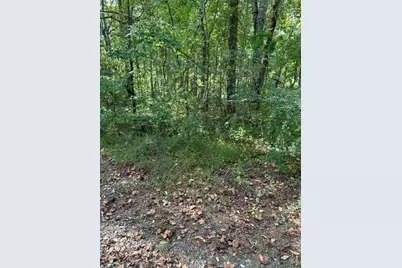 1089 Damascus Drive, Ball Ground, GA 30107 - Photo 27